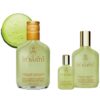 Ligne ST Barth - Gel Aloe vera con Menta